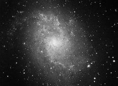 M33