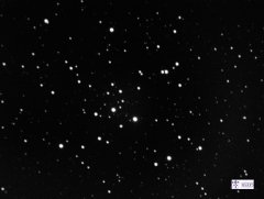 M41