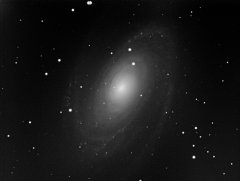M81
