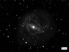 M83