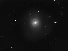 M95