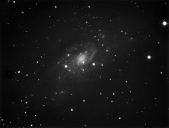 NGC 2403